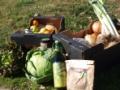 Gran cesta agroecológica con productos de temporada (18 Kgs apro