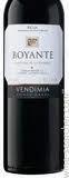 Boyante 2010 vendimia seleccionada Rioja
