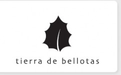 Fachadadetalle_tierra_de_bellotas