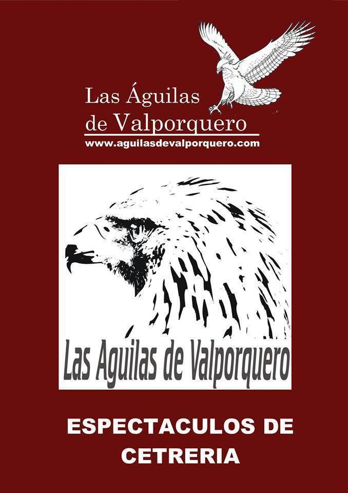 Exhibición de Cetrería "Las Aguilas de Valporquero" (en Valdefuentes)