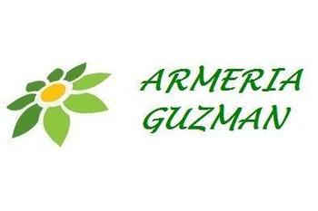 ARMERIA GUZMAN