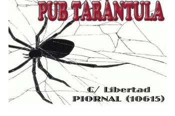Normal pub tarantula