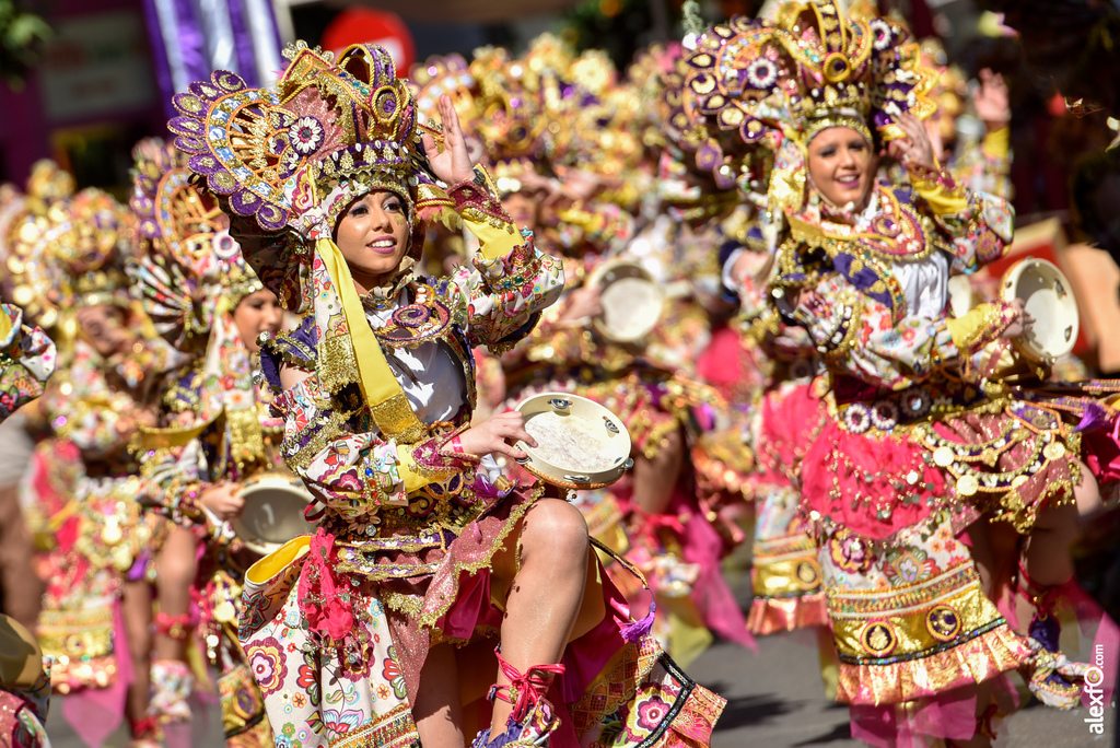 Comparsa Los Tukanes - Desfile de Comparsas Carnaval de Badajoz 2019 2