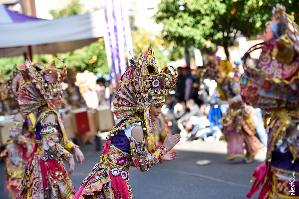 Comparsa Los Tukanes - Desfile de Comparsas Carnaval de Badajoz 2019 1