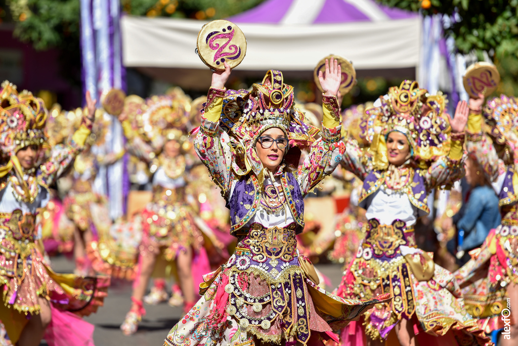 Comparsa Los Tukanes - Desfile de Comparsas Carnaval de Badajoz 2019 9