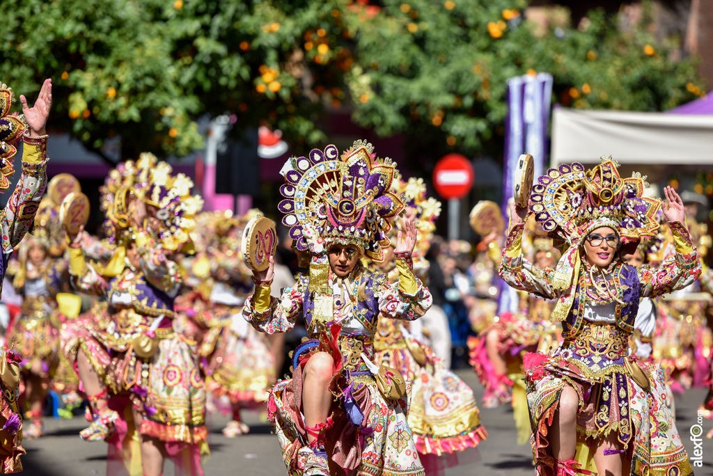 Comparsa Los Tukanes - Desfile de Comparsas Carnaval de Badajoz 2019 12