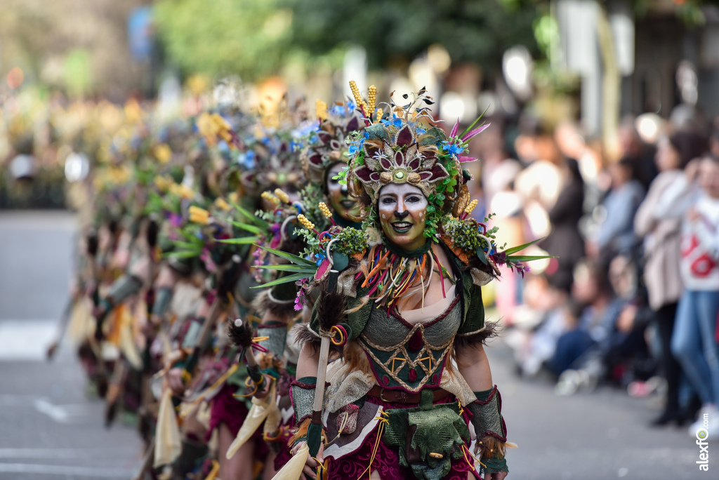 Comparsa Anuva - Desfile de Comparsas Carnaval de Badajoz 2019 2