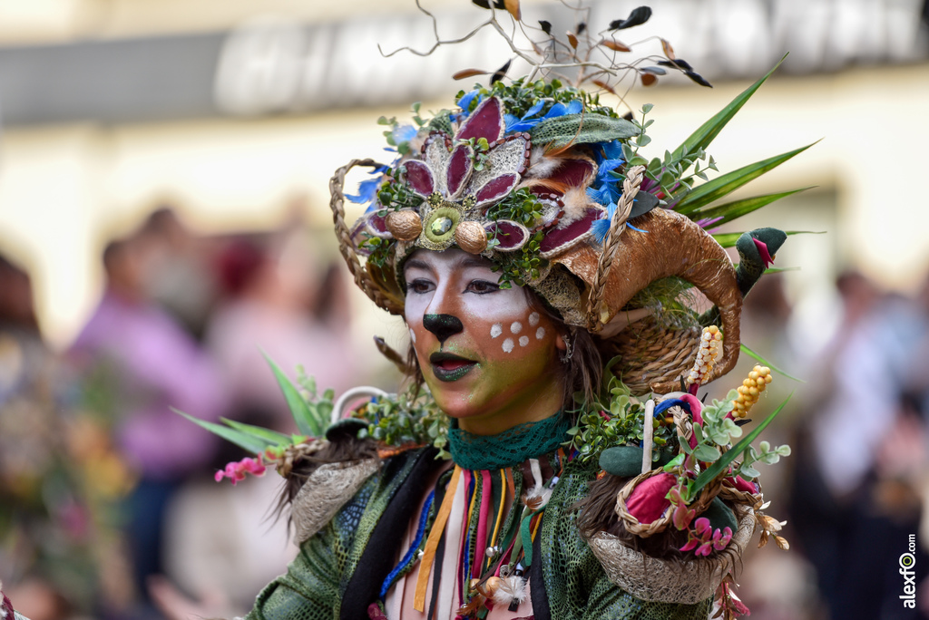 Comparsa Anuva - Desfile de Comparsas Carnaval de Badajoz 2019 5