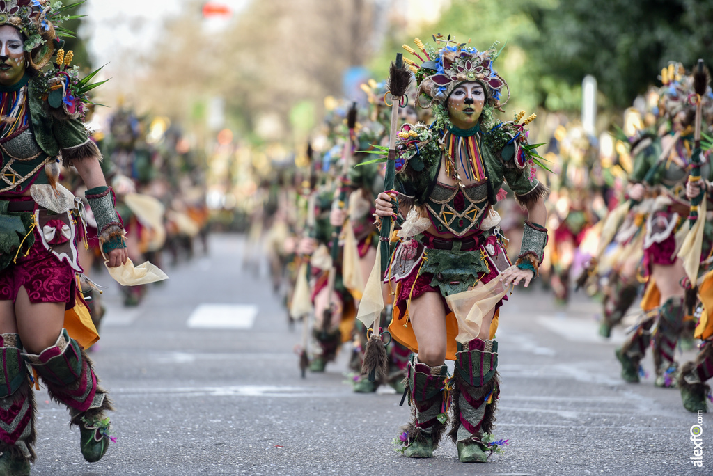 Comparsa Anuva - Desfile de Comparsas Carnaval de Badajoz 2019 7