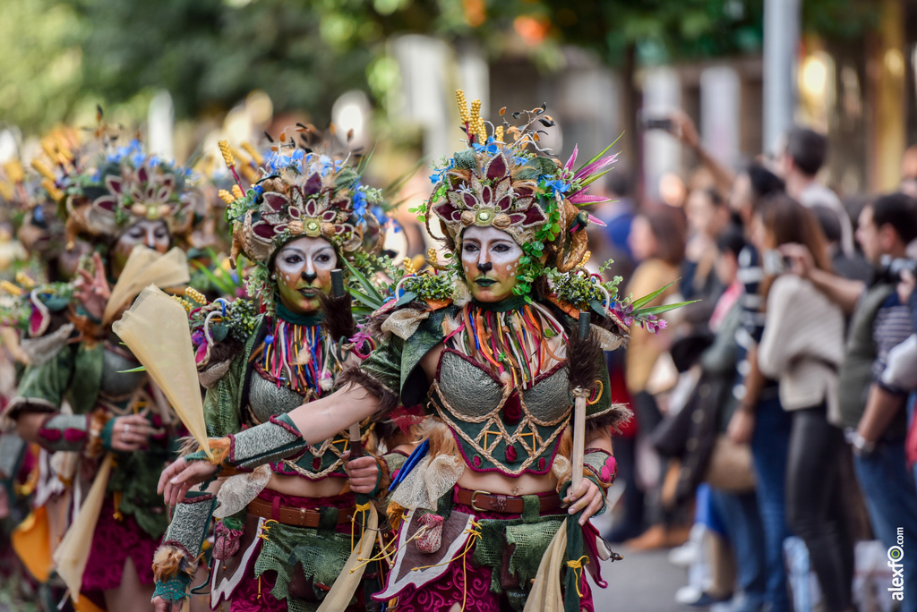 Comparsa Anuva - Desfile de Comparsas Carnaval de Badajoz 2019 10