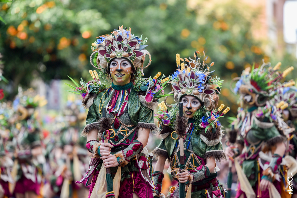 Comparsa Anuva - Desfile de Comparsas Carnaval de Badajoz 2019 16