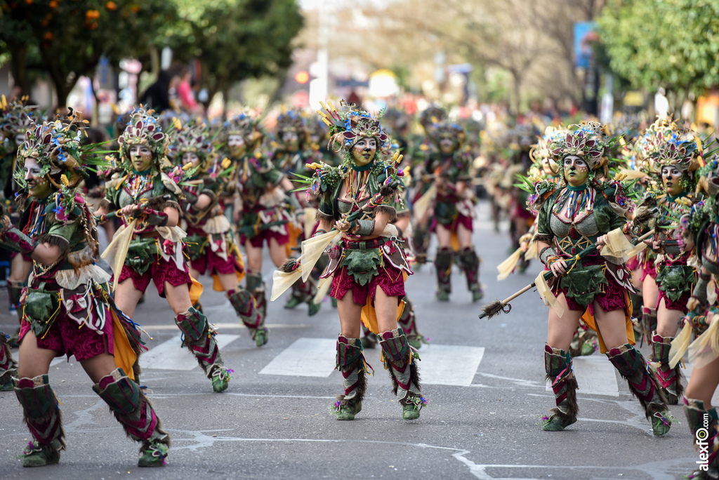 Comparsa Anuva - Desfile de Comparsas Carnaval de Badajoz 2019 15