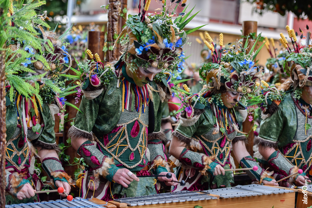 Comparsa Anuva - Desfile de Comparsas Carnaval de Badajoz 2019 21