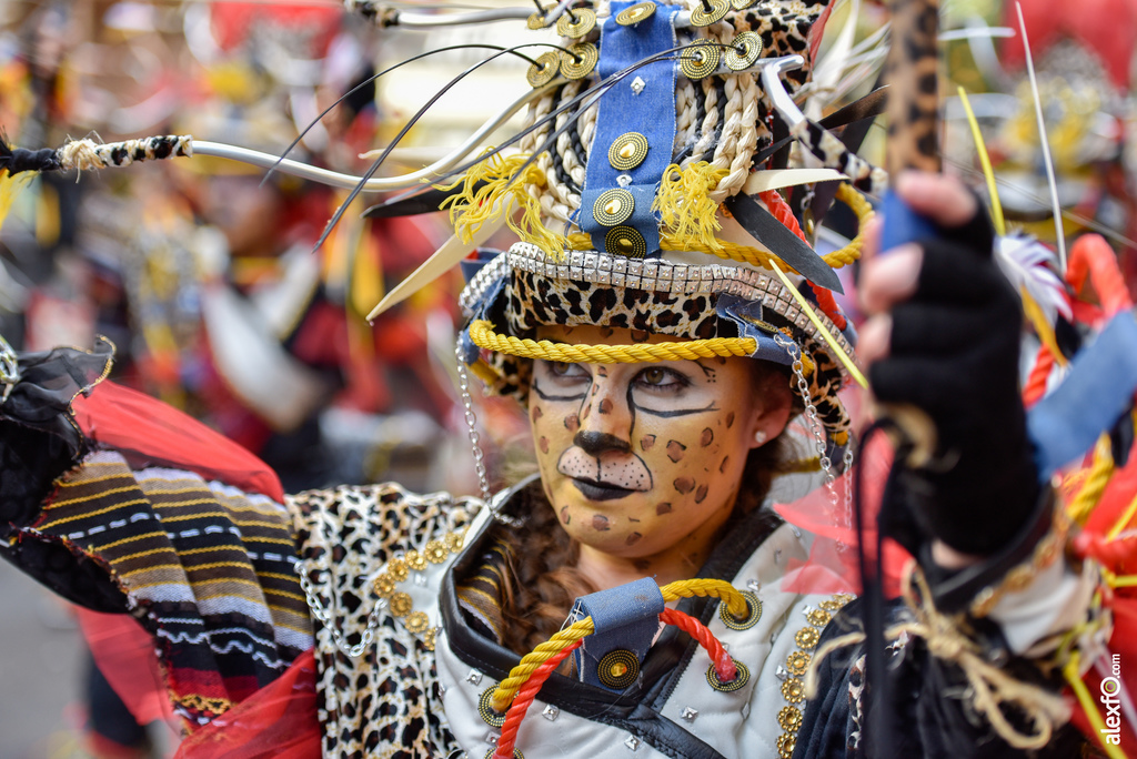 Comparsa El Vaivén - Desfile de Comparsas Carnaval de Badajoz 2019 4