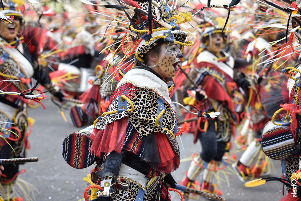 Comparsa El Vaivén - Desfile de Comparsas Carnaval de Badajoz 2019 3