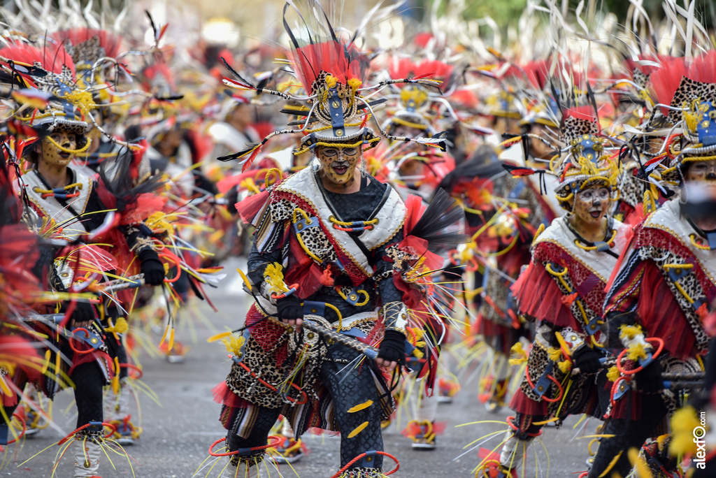 Comparsa El Vaivén - Desfile de Comparsas Carnaval de Badajoz 2019 6