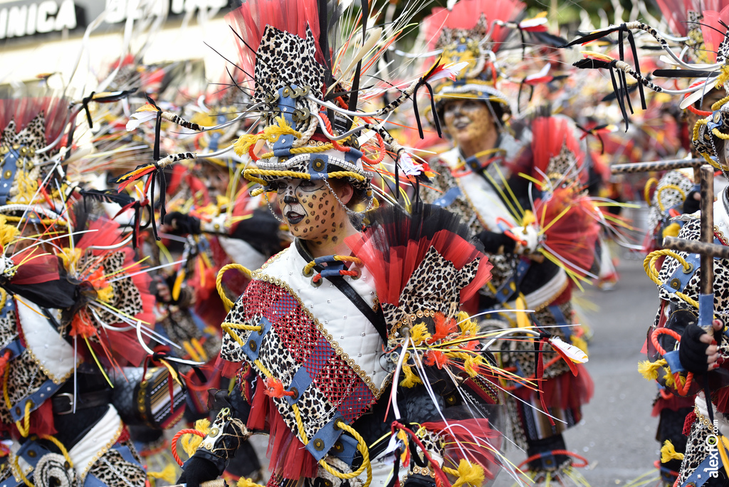 Comparsa El Vaivén - Desfile de Comparsas Carnaval de Badajoz 2019 13