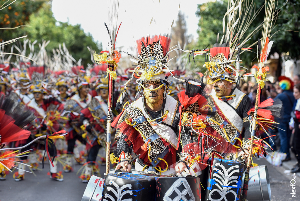 Comparsa El Vaivén - Desfile de Comparsas Carnaval de Badajoz 2019 14