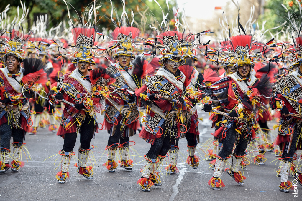 Comparsa El Vaivén - Desfile de Comparsas Carnaval de Badajoz 2019 16