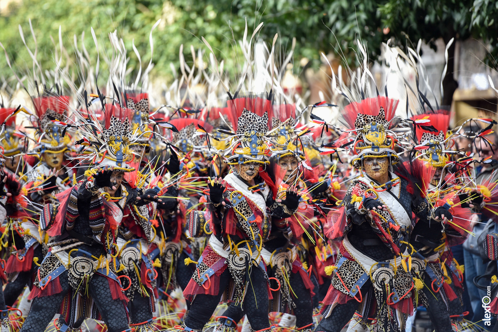 Comparsa El Vaivén - Desfile de Comparsas Carnaval de Badajoz 2019 17