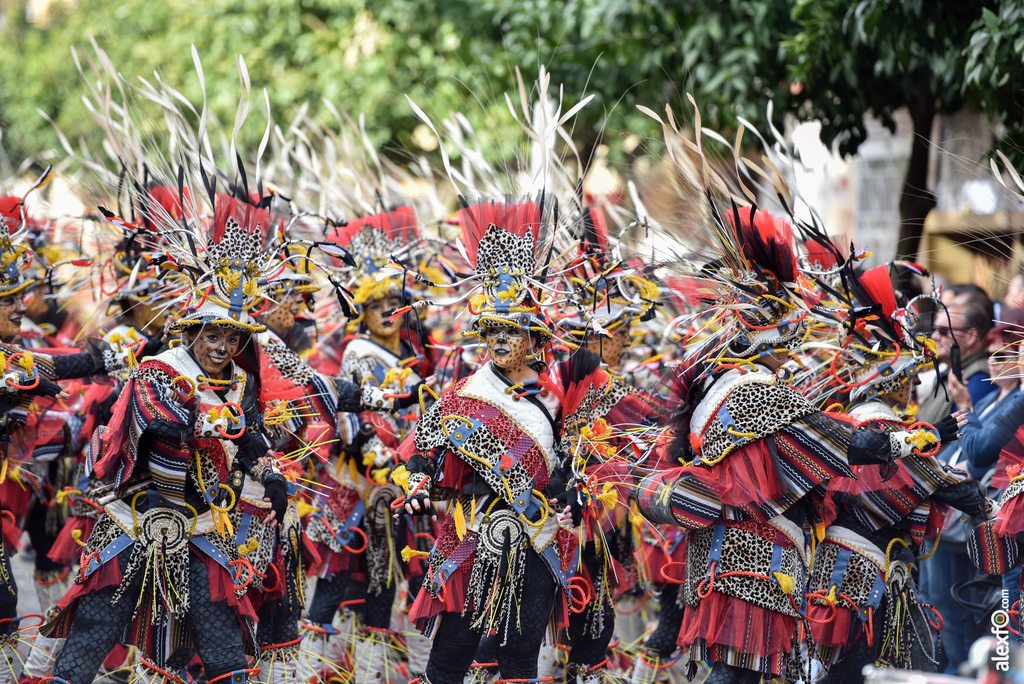 Comparsa El Vaivén - Desfile de Comparsas Carnaval de Badajoz 2019 19