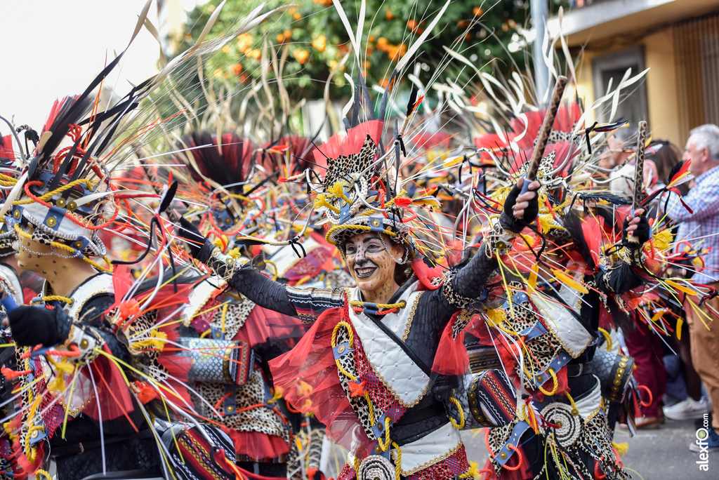 Comparsa El Vaivén - Desfile de Comparsas Carnaval de Badajoz 2019 18