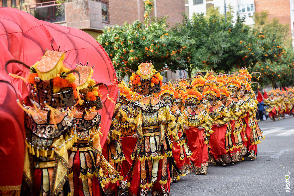 Comparsa Los Lingotes - Desfile de Comparsas Carnaval de Badajoz 2019 17