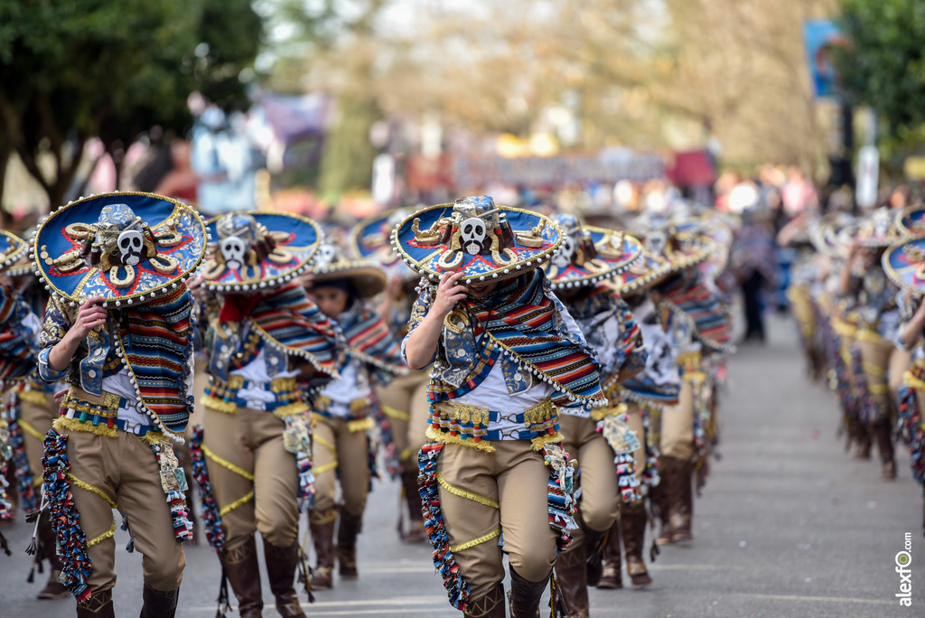 Comparsa Marabunta - Desfile de Comparsas Carnaval de Badajoz 2019 3