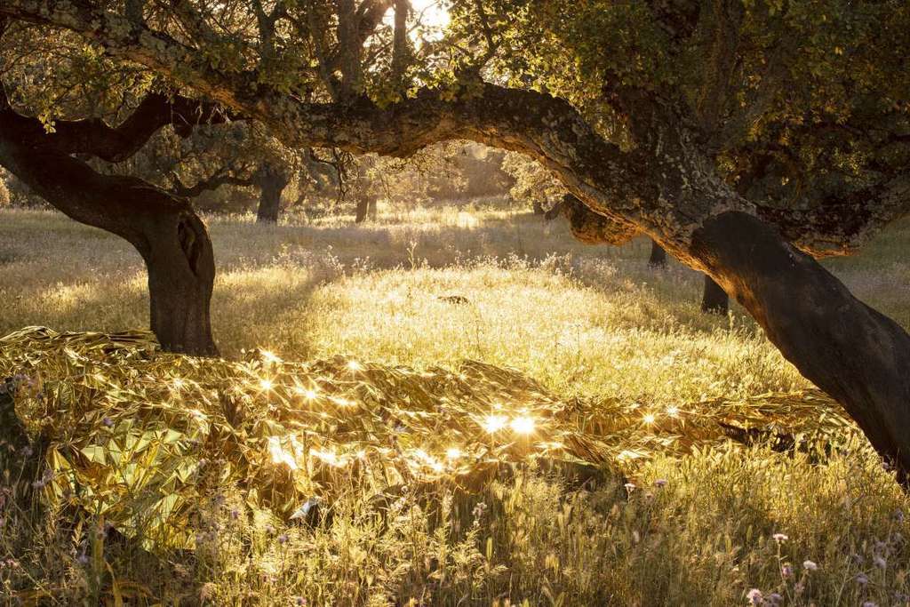 Las obras finalistas de la cuarta edición del Premio Internacional de Fotografía ‘Santiago Castelo’ se muestran en una exposición en Évora