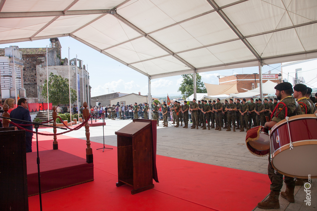 205 Aniversario de la Batalla de la Albuera 534