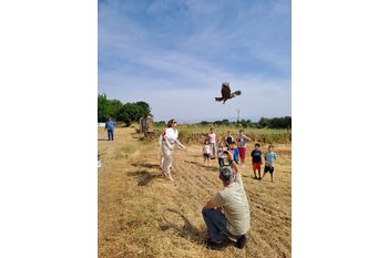 La Junta celebra el Día Mundial del Medio Ambiente con una suelta de aves en Serrejón