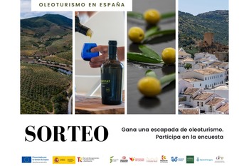 Diputación de Cáceres invita a la ciudadanía a participar en una encuesta sobre oleoturismo y optar a conseguir una escapada temática en torno a la cultura del aceite y el olivo