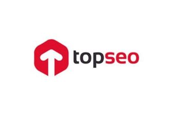 Top seo normal 3 2