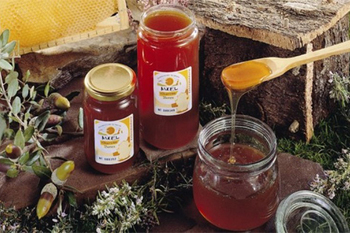 La miel de villuercas ibores protagoniza la denominacion de origen de marzo en el programa de cacere normal 3 2