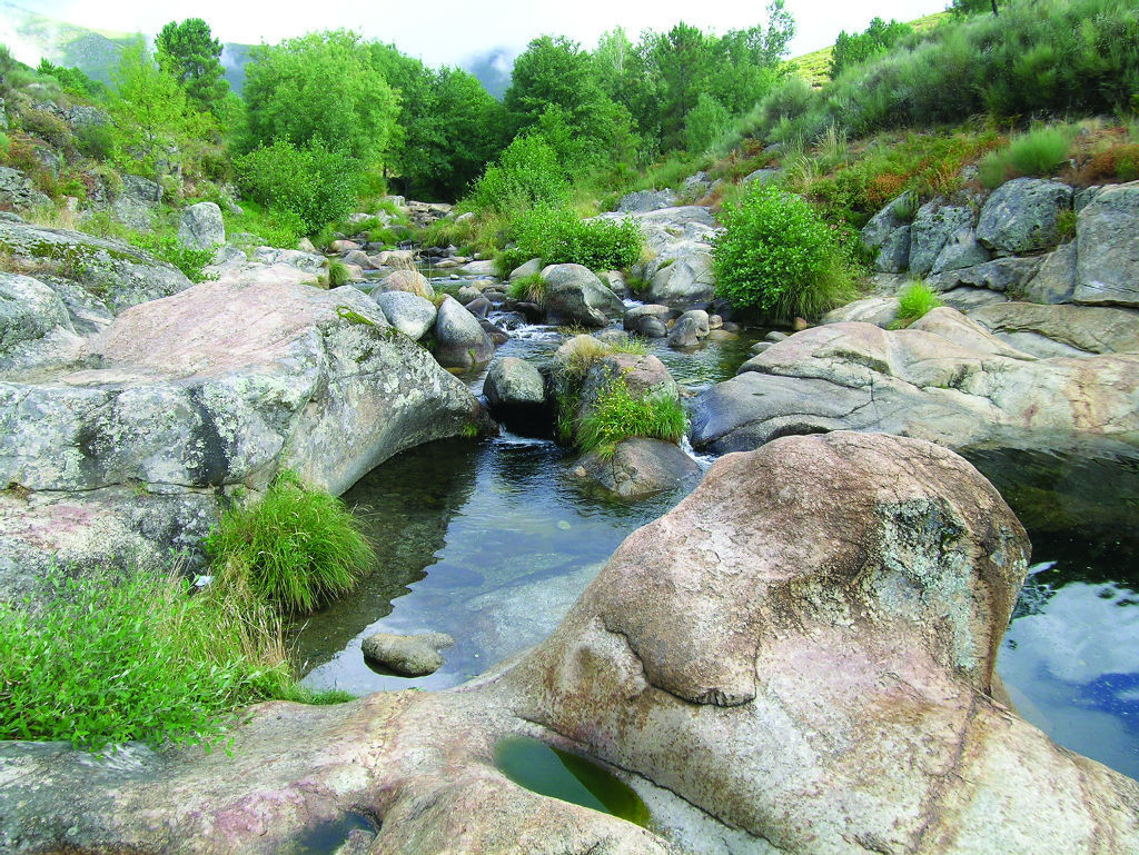 Ribera de Acebo