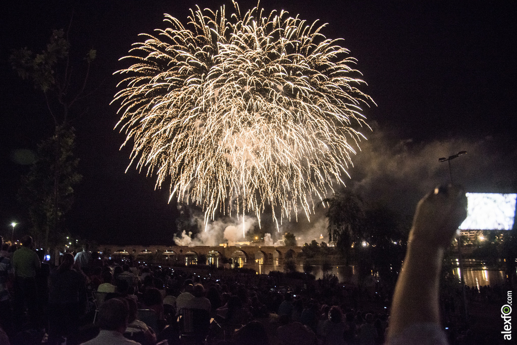 Fuegos Artificiales 17