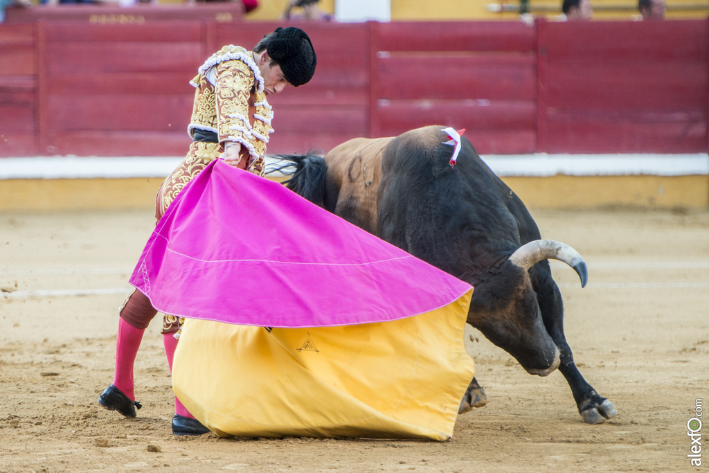 Garrido, toros San Juan 2016 3