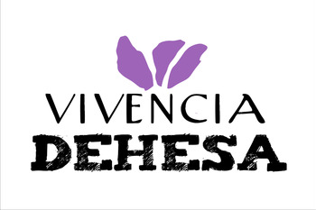 Logo vivencia cuadrado normal 3 2