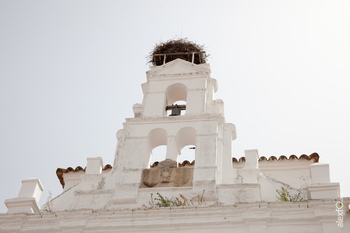 Arco de jerez en zafra 4 normal 3 2