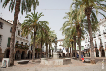 Plaza grande en zafra 5 normal 3 2