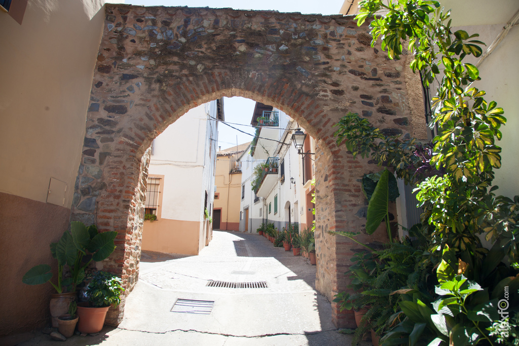 Arco del Tinte en Guadalupe  4