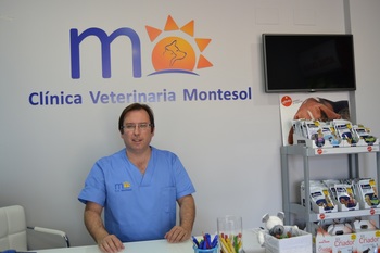 Veterinario caceres clinica normal 3 2