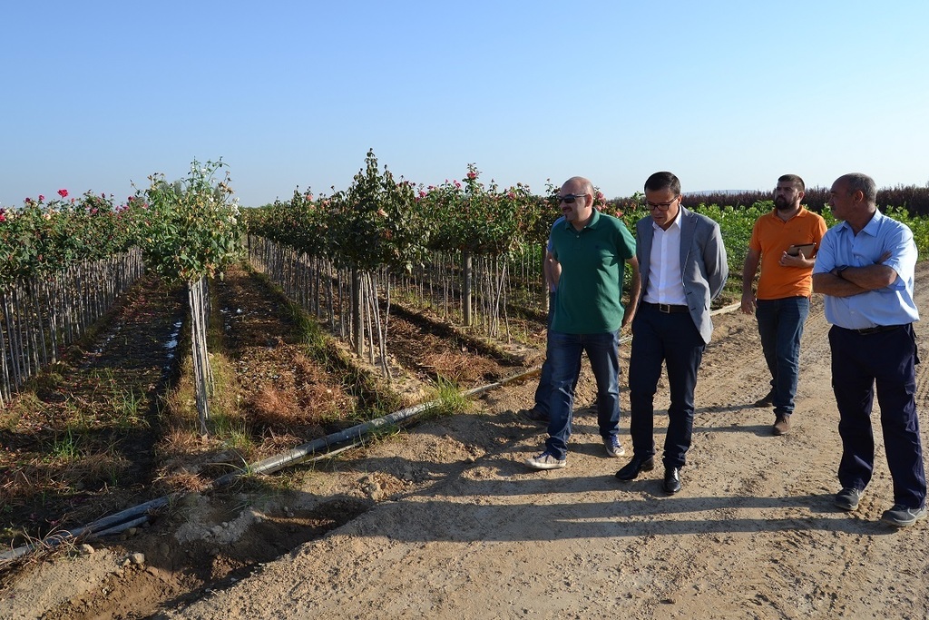 Miguel Ángel Gallardo - Vivero provincial