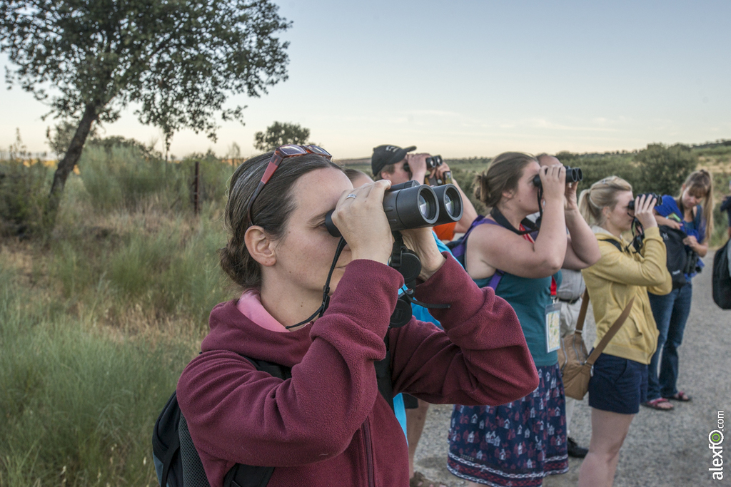 Birdwatching Tajo Internacional - Conferencia Internacional de Ornitólogos - Badajoz 2015 JV Tajo internacional-7