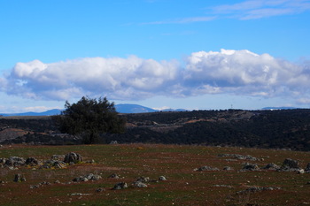 Ruta senderista los riberos del almonte p1010024 normal 3 2