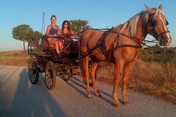 Actividades barbancho paseos coche de caballos 1964990 610014782400111 716262817 n normal 3 2