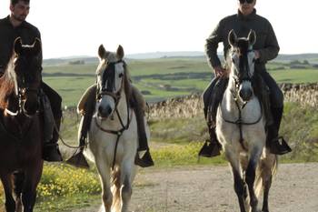 Actividades barbancho rutas a caballo 1926178 610013039066952 134230838 o normal 3 2