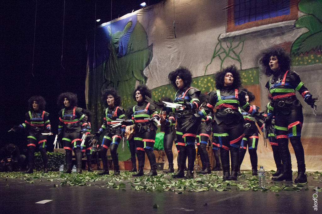 Murga Murger Queen - Carnaval Badajoz 2015 (Preliminares) IMG_9074