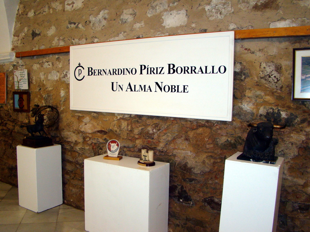 Exposición Bernardino Piríz Borrallo, un alma noble 896