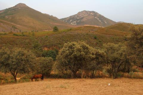 NUESTRAS VISTAS... NUESTRAS VISTAS...